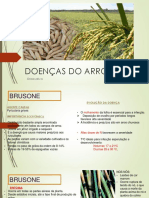 Doenças do arroz: brusone, mancha parda, mancha estreita, escaldadura e mancha de grãos