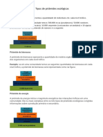 Tipos de pirâmides ecológicas: número, biomassa e energia