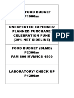 Work Food Budget P1000/m Unexpected Expenses/ Planned Purchase/ Celebration Fund (30% Net Sideline) Food Budget (BLMD) P2300/m FAM 800 MVM/ICS 1500