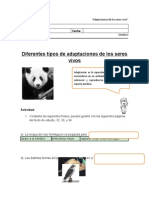 Adaptaciones de Los Seres Vivos