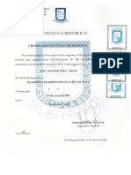 Cédula de Identidad N 23999204-8 Rol 0020018 Folio 0018404