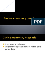 Canine Mammary Neoplasms