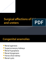 Surgical Affections of Kidneys and Ureters