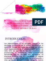 Insumos Energeticos Y Proteicos en La Alimentacion Animal