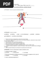 PROVA SISTEMA URINÁRIO