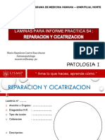 Laminas Practica S4 - Reparacion y Cicatrizacion - Usmp.