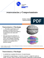 Neurociencias y Comportamiento: Profesor: Sebastián Rueda Matus Carrera de Psicología (Vespertino)