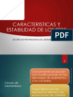 2-Caracteristicas y Estabilidad de Los Ríos