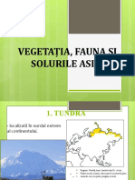 5vegetatia Si Fauna Asiei Nxpowerlite