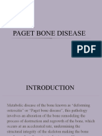 Accelerated Bone Remodeling Disease: Paget's Disease