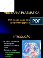 Membrana plasmática: estrutura e funções