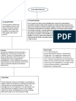 Los Protistas: Arqueplastidos Cromalveolados