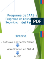 1 Programa de IAAS y Calidad y Seguridad Del Paciente