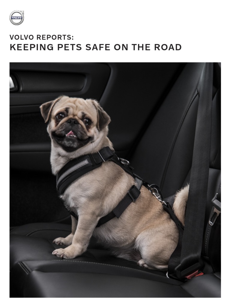 VOLVO Keeping Pets Safe On The Road PDF Pet Dogs