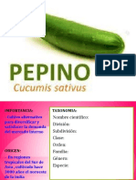 PEPINO