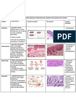 Quadro - Histologia - MODELO