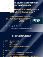 Aula 4 Enfermidades Neurológicas e Multidisciplinaridade TCE