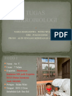 Tugas Mikrobiologi: Nama Mahasiswa: Witri Wulandari NIM: PO6224220306 Prodi: Alih Jenjang Kebidanan Angkatan Iv