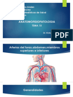 Anatomofisiopatologia