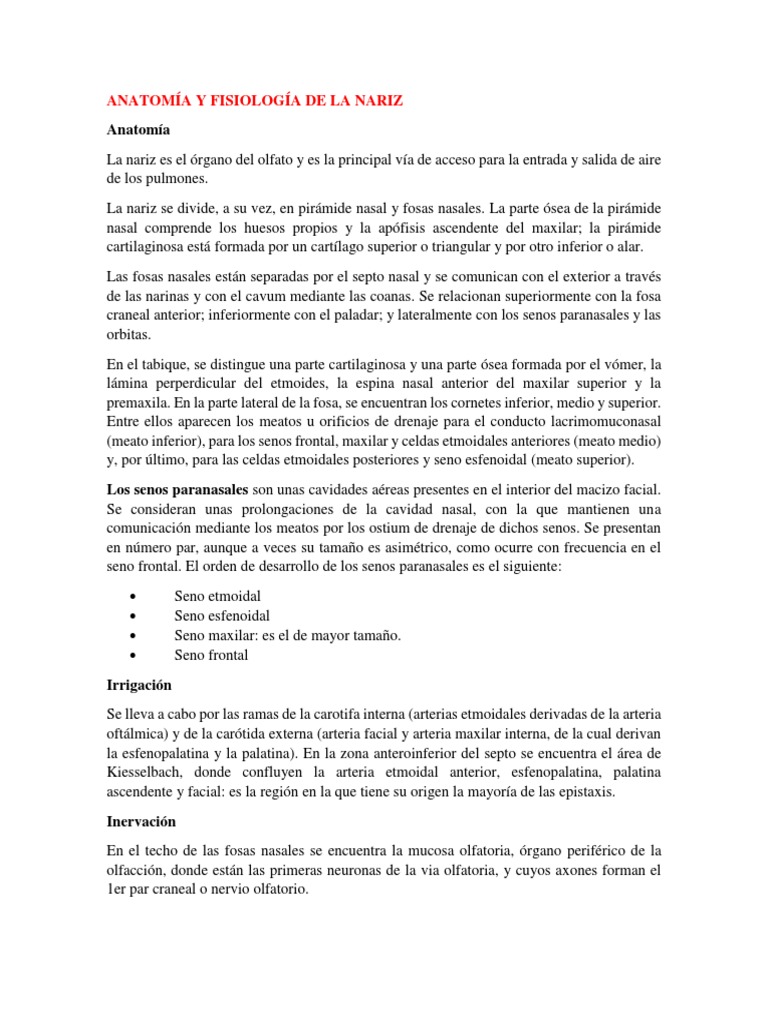 Anatomía y Funciones de la Nariz | PDF | Nariz humana | Rinología