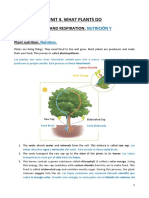 Unit 4. What Plants Do: Plant Nutrition and Respiration