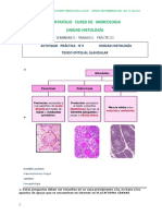 Portafolio Curso de Morfologia Unidad Histología