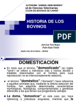 1.2. Origen y Desarrollo de Los Bovinos