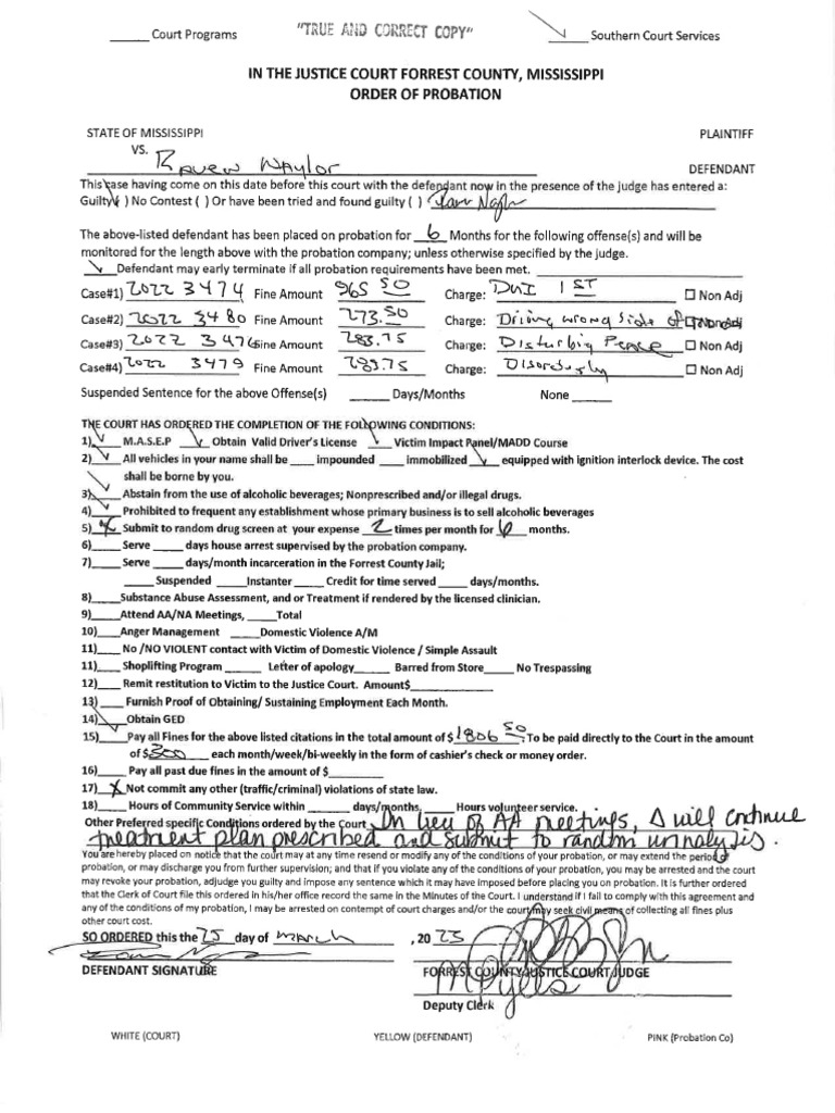 Order of Probation PDF