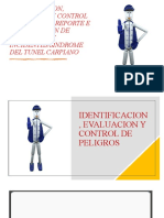 Identificación, evaluación y control de peligros, reporte e investigación de accidentes e incidentes y sindrome del túnel carpiano