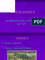 Genetica Basica 2