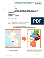 02 RESUMEN EJECUTIVO Añancusi