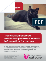 Blood Transfusion Cat Carer Guide