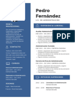 Pedro Fernández: Experiencia Laboral Perfil Profesional