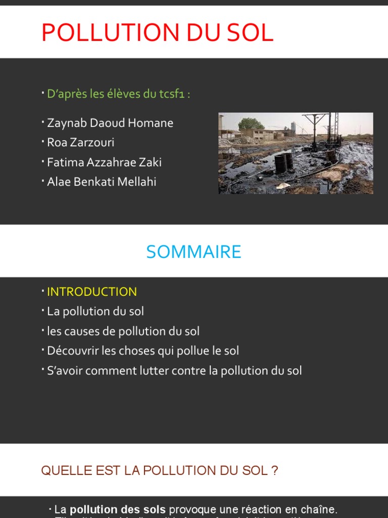 Causes et solutions de la pollution du sol | PDF | la pollution | Sol ...