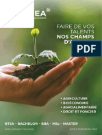 Faire de Vos Talents: Nos Champs D'Actions