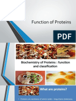 Function of Proteins