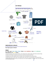 Adjektivdeklination Im Nominativ Und Akkusativ (Kleidung)