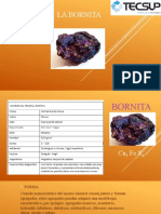 Bornita mineral de cobre y hierro