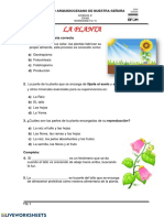 La Planta: Propio Alimento, Este Proceso Es Conocido Como