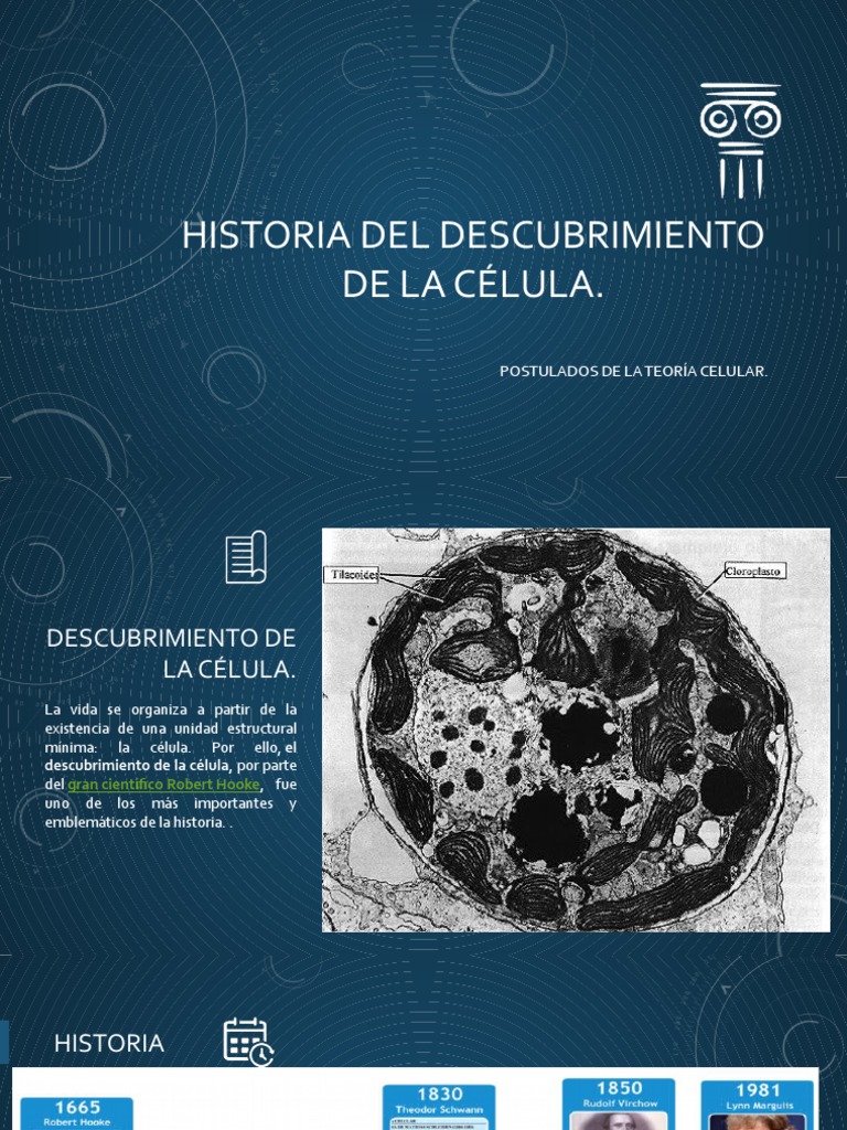 Historia Del Descubrimiento de La Célula | PDF | Biología Celular