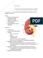 Physio Functional Anatomy of The Urinary System