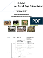 Kuliah 2 Bangsa Dan Jenis Ternak Sapi Potong Lokal: Jurusan Ilmu Peternakan Fakultas Pertanian Dan Peternakan
