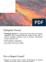 Endogenic Processes