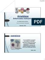 Amebíase: 15 milhões infectados por protozoário negligenciado