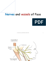 Nerves and vessels of the face: anatomy, facial palsy and clinical correlations