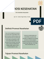 Promosi Kesehatan