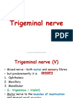 Trigeminal Nerve