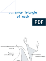Anterior Triangle of Neck