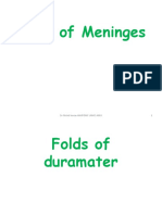 Folds of Meninges