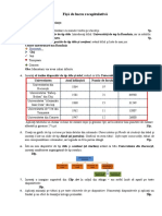 Fișă de Lucru Recapitulativă: Rezolvați Următoarele Cerințe